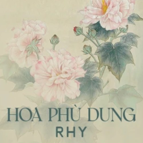 Rhy