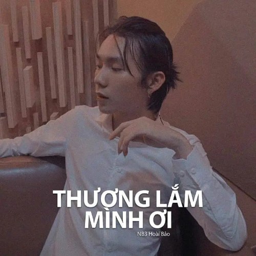 NB3 Hoài Bảo