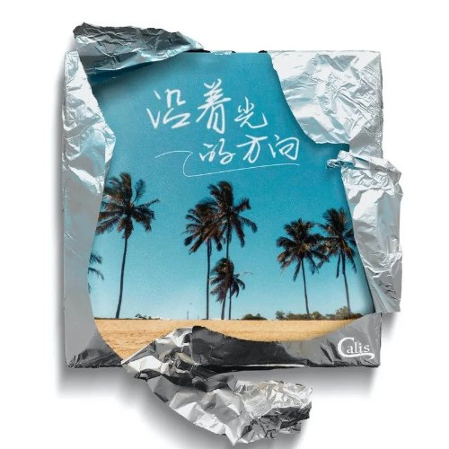 CALIS Ngô Huyên Huy