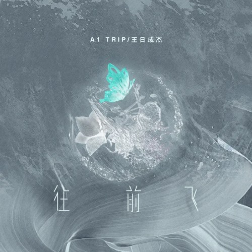 A1 TRIP