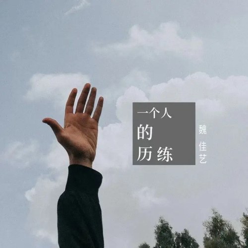 Nguỵ Giai Nghệ