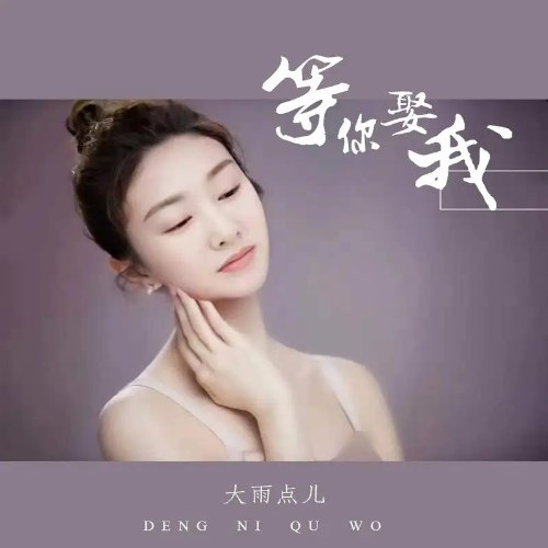 Đại Vũ Điểm Nhi