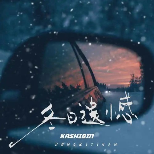 kashbin