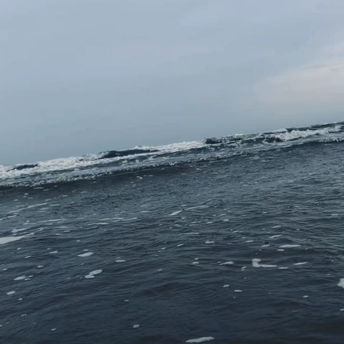 Cao Húc