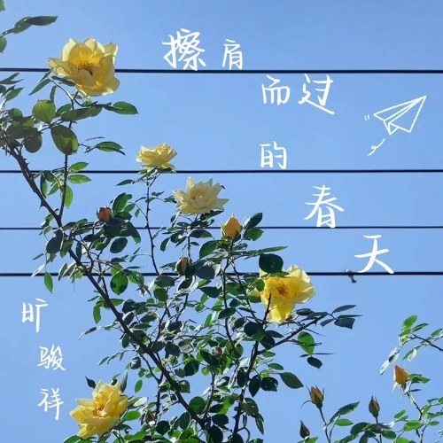 Khoáng Tuấn Tường