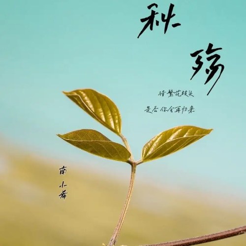 Nam Tiểu Hy