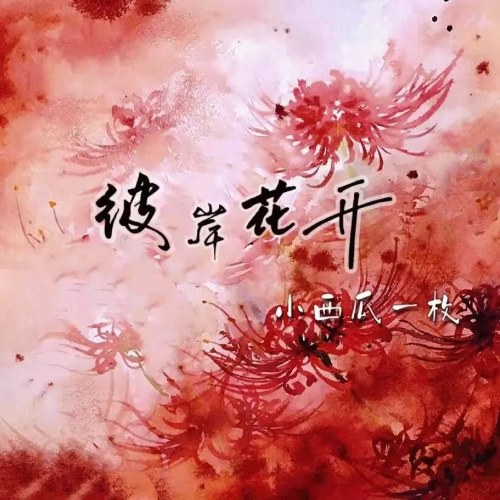 Tiểu Tây Qua Nhất Mai