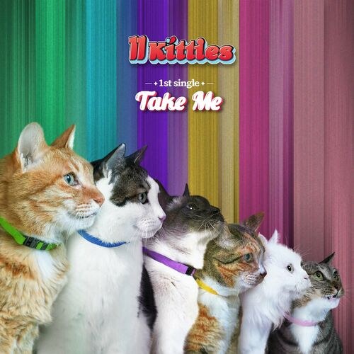 11Kitties