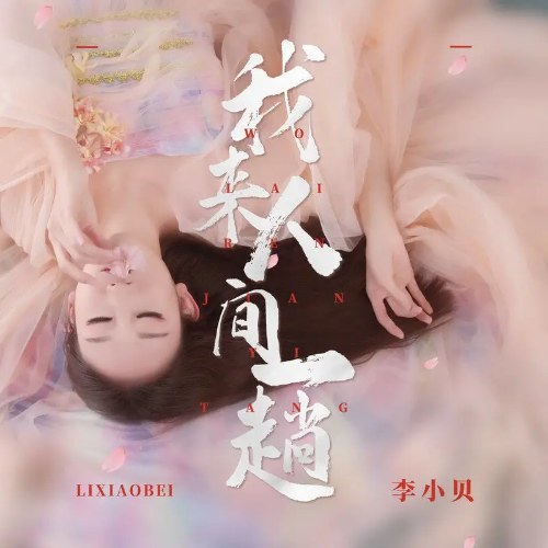 Lý Tiểu Bối