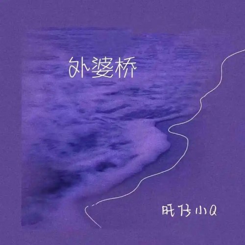 Vượng Tử Tiểu Q