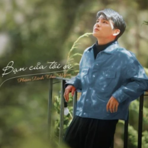 Phạm Đình Thái Ngân