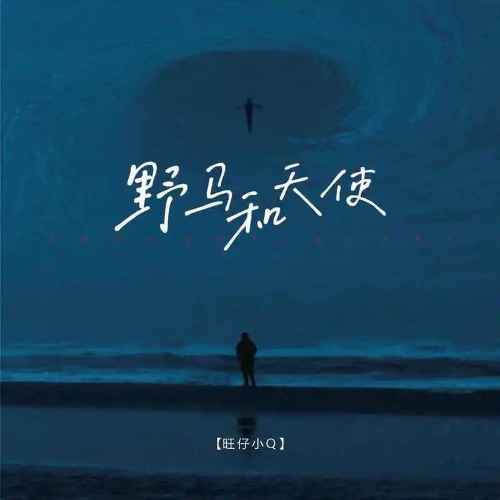 Vượng Tử Tiểu Q