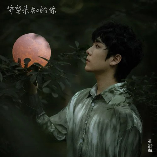 Khổng Thư Hàng