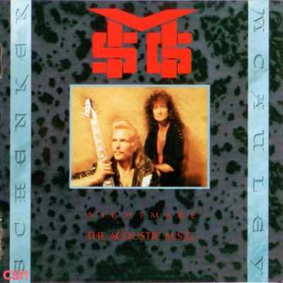 McAuley Schenker Group