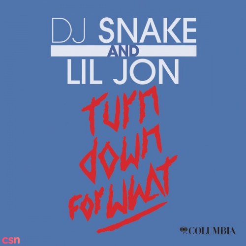 DJ Snake