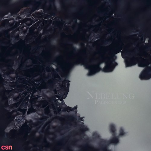 Nebelung