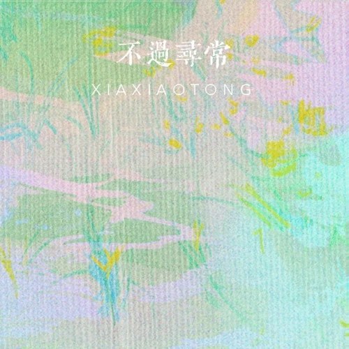 Hạ Tiểu Đồng