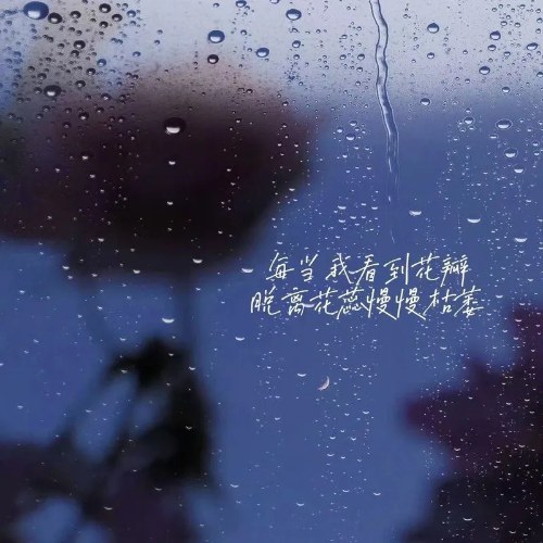 Lợi Quần Nam Hài