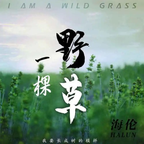 Hải Luân