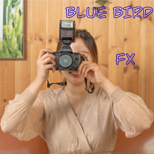 FX
