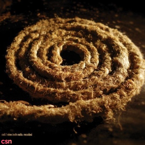 Coil