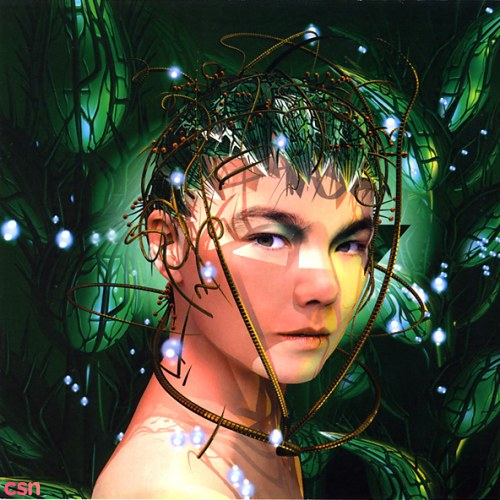 Björk
