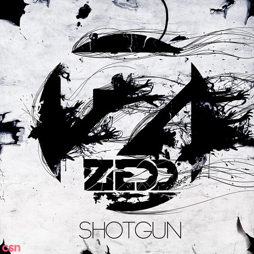 Zedd