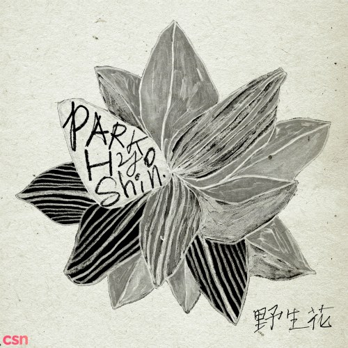 Park Hyo Shin