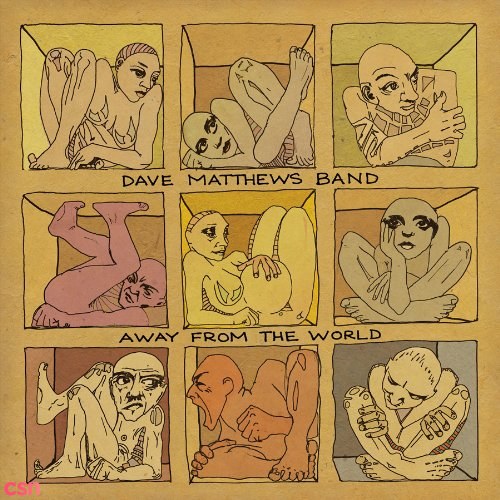 Dave Matthews Band