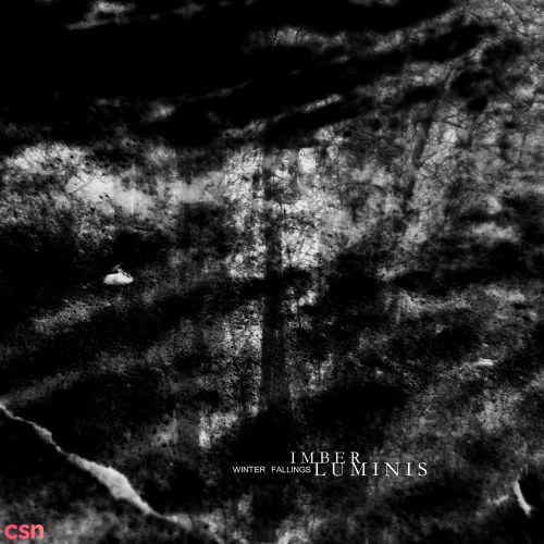Imber Luminis