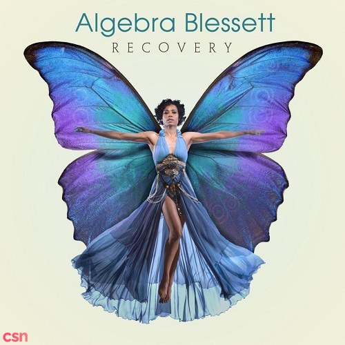 Algebra Blessett