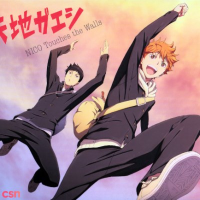 Nico Touches the Walls
