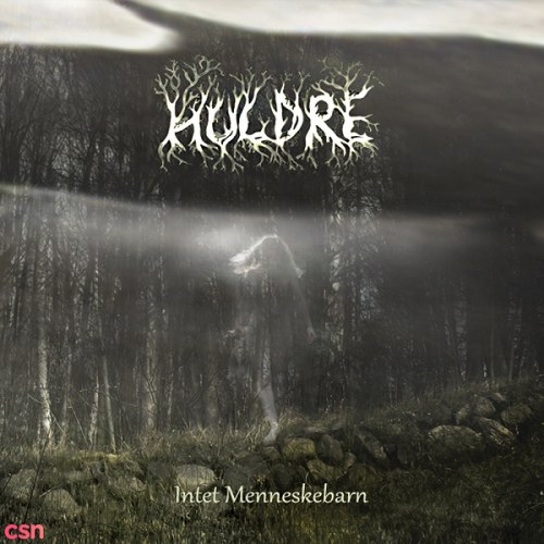 Huldre