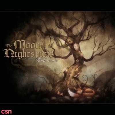 The Moon And The Nightspirit