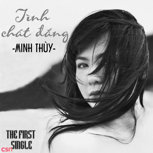 Minh Thuỳ Idol
