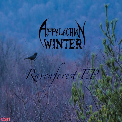 Appalachian Winter