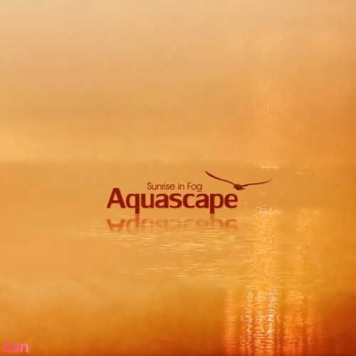 Aquascape
