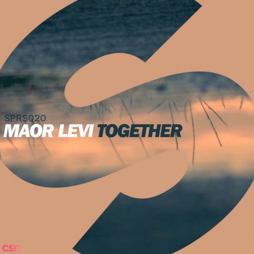Maor Levi