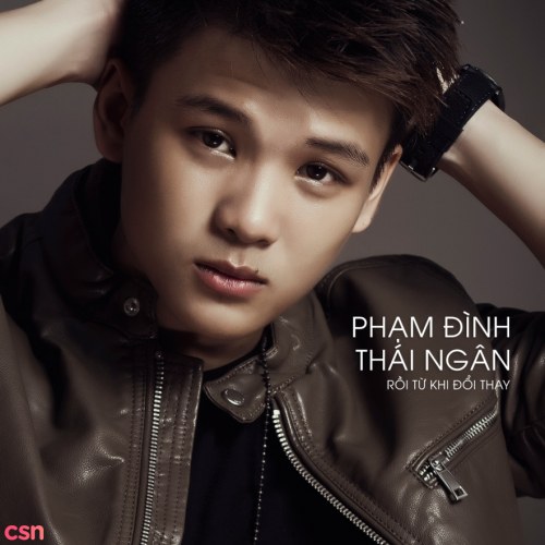 Phạm Đình Thái Ngân