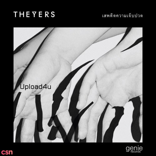 The Yers