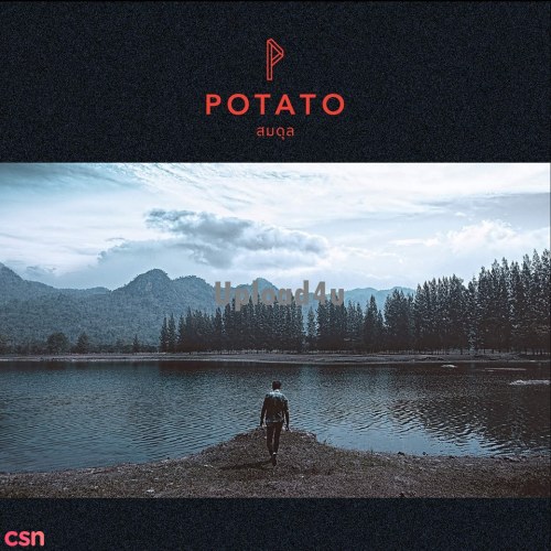 Potato
