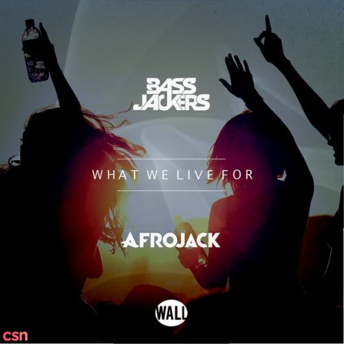 Afrojack