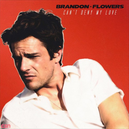 Brandon Flowers