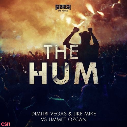 Dimitri Vegas