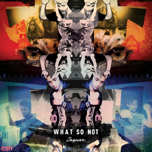 What So Not