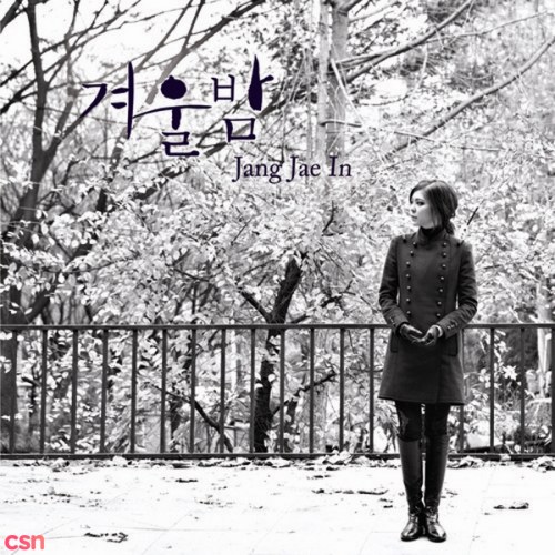 Jang Jae In