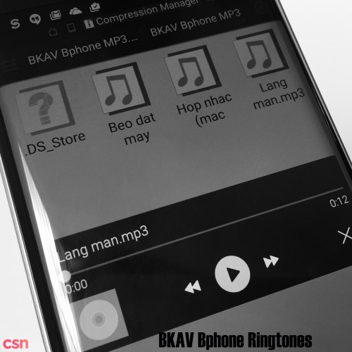 BKAV