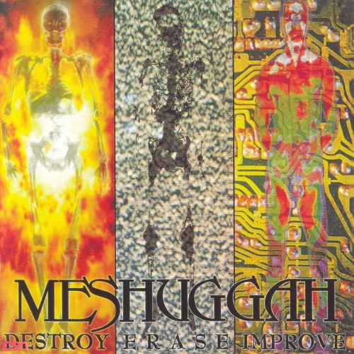 Meshuggah