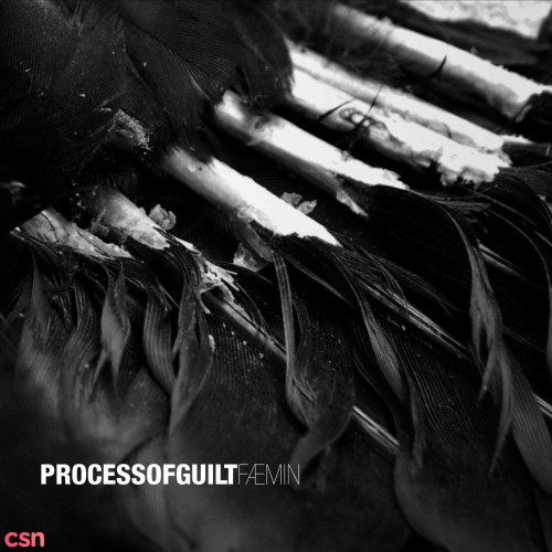 Process Of Guilt