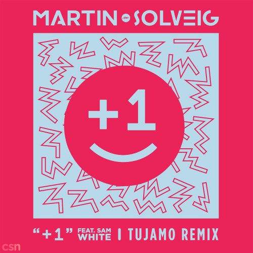 Martin Solveig